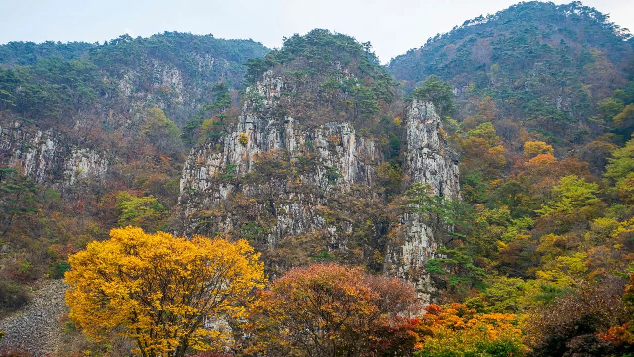 단풍 든 숲 위로 솟은 쌍곡구곡의 바위 절벽과 기둥 바위