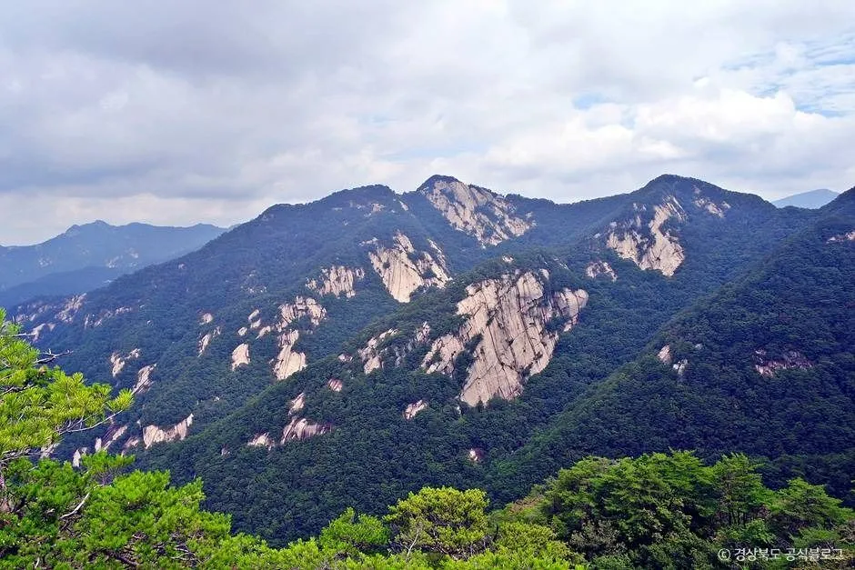 괴산 등산코스 — 조령산·도명산·칠보산·대야산 난이도와 GPX