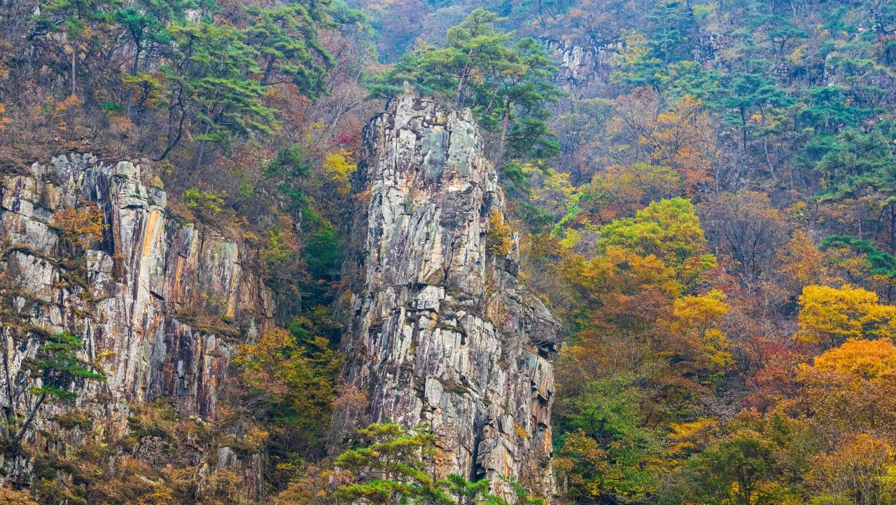 가을 단풍 사이로 솟은 쌍곡구곡 소금강 일대의 바위 절벽