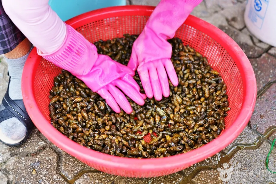 괴산 맛집 — 올갱이국·민물매운탕·한우, 산막이옛길·계곡 지역별 식당 고르는 법