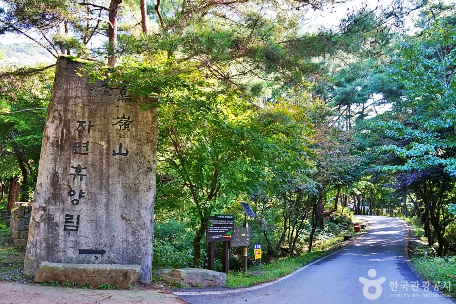 괴산 자연휴양림 — 조령산·성불산 비교, 예약 방법·시설·주변 산행
