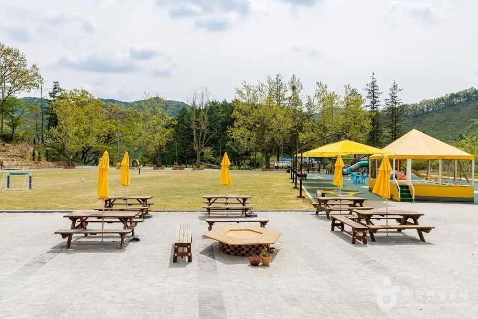 꿀벌랜드 앞 넓은 잔디밭과 피크닉 테이블, 노란 파라솔과 차양 아래 놀이 시설