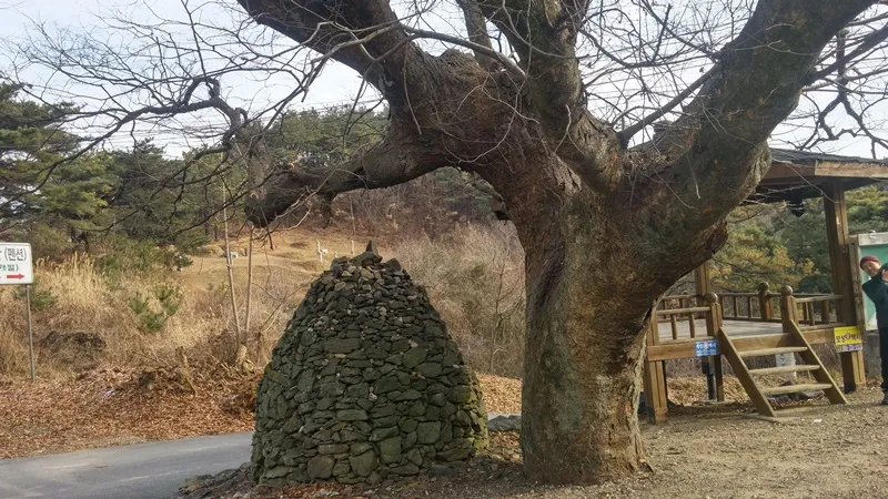대청호오백리길 8구간 선비길