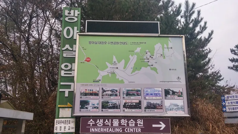 대청호오백리길 6구간 대추나무길