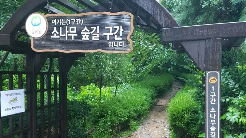 북한산둘레길 1코스 소나무숲길