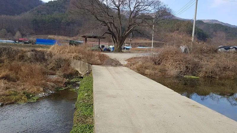 대청호오백리길 14구간 장고개구불길