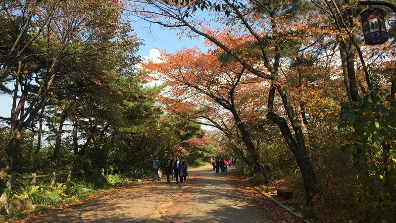 남산둘레길 한바퀴