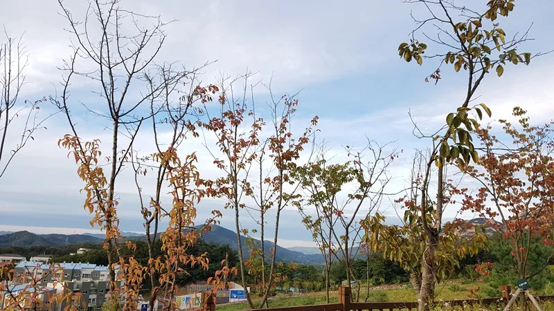 북한산둘레길 8코스 구름정원길