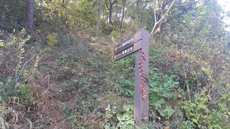 대청호오백리길 4구간 호반낭만길