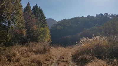 대청호오백리길 9구간 지용향수길