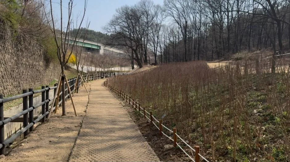 도정봉 4코스
