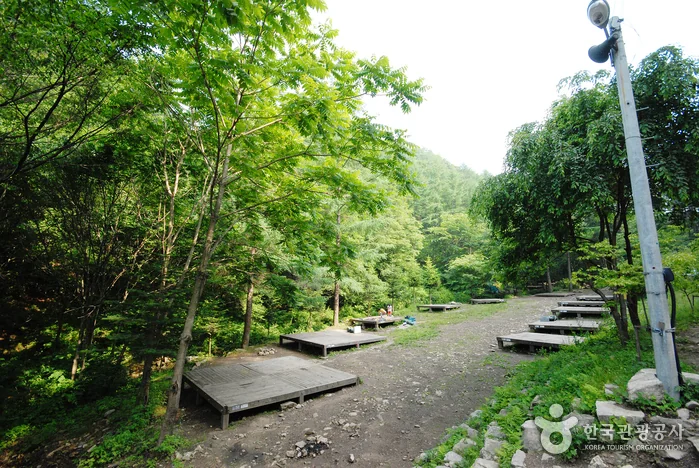 옥산 1코스