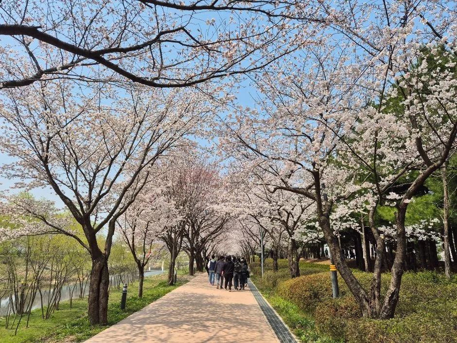 망치봉 1코스