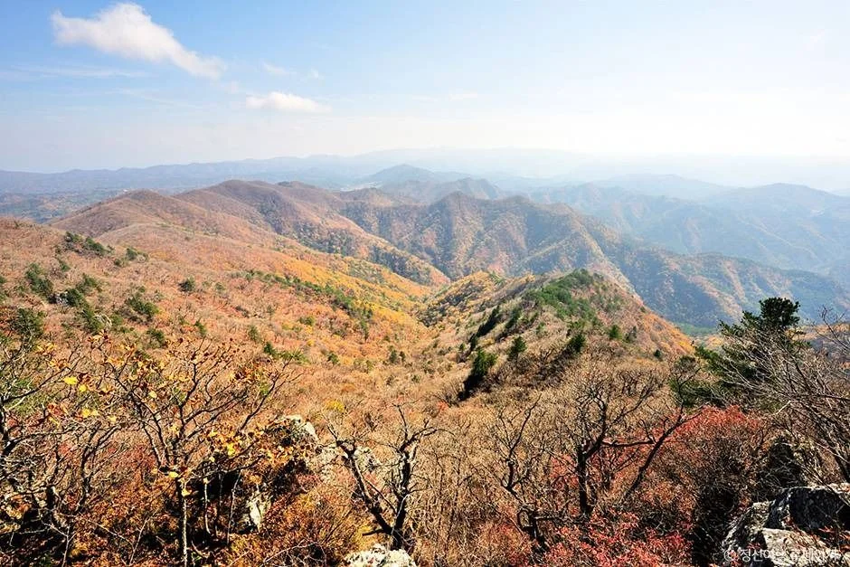 노추산 1코스