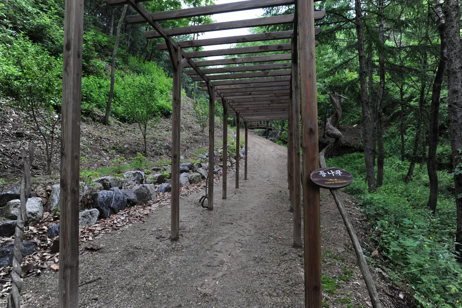 창안산 4코스