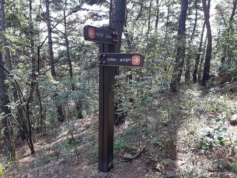 마천산 5코스