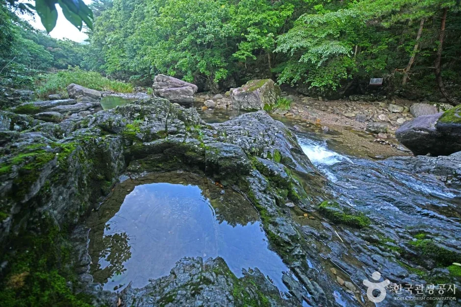 백암산 3코스