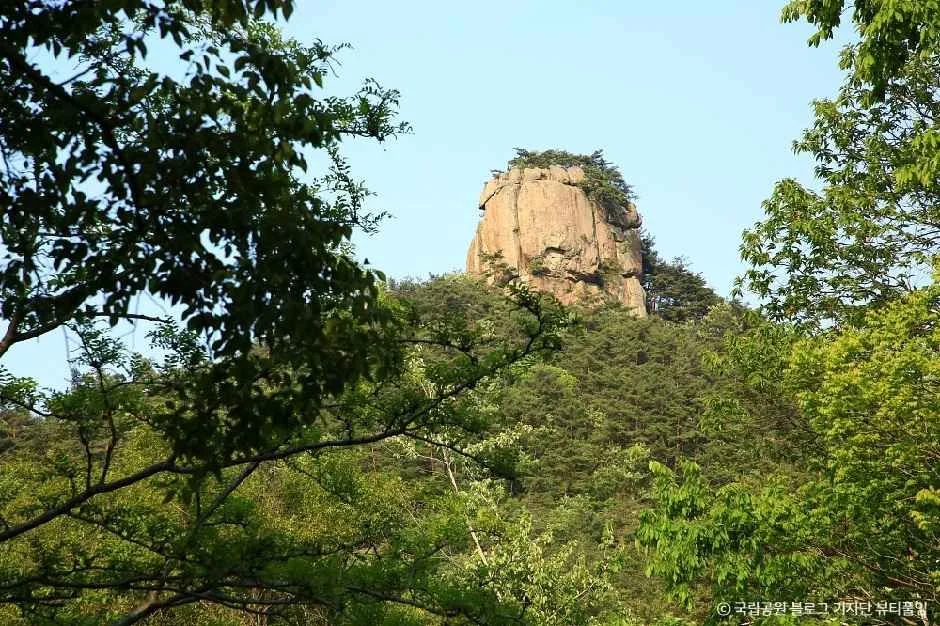 변산 2코스