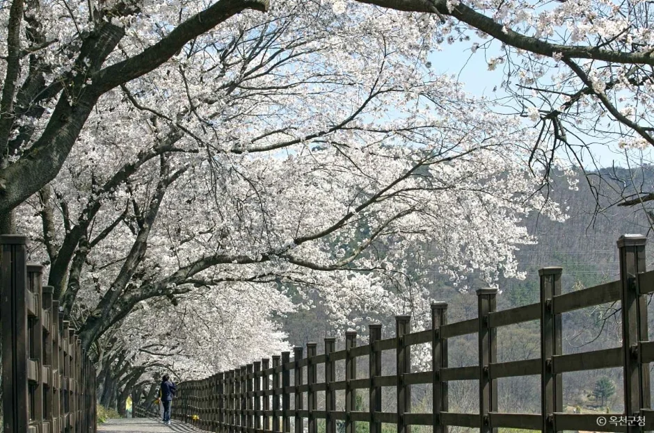 마성산 1코스