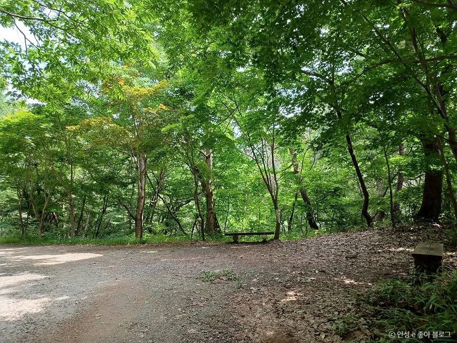 암산(청룡봉) 3코스