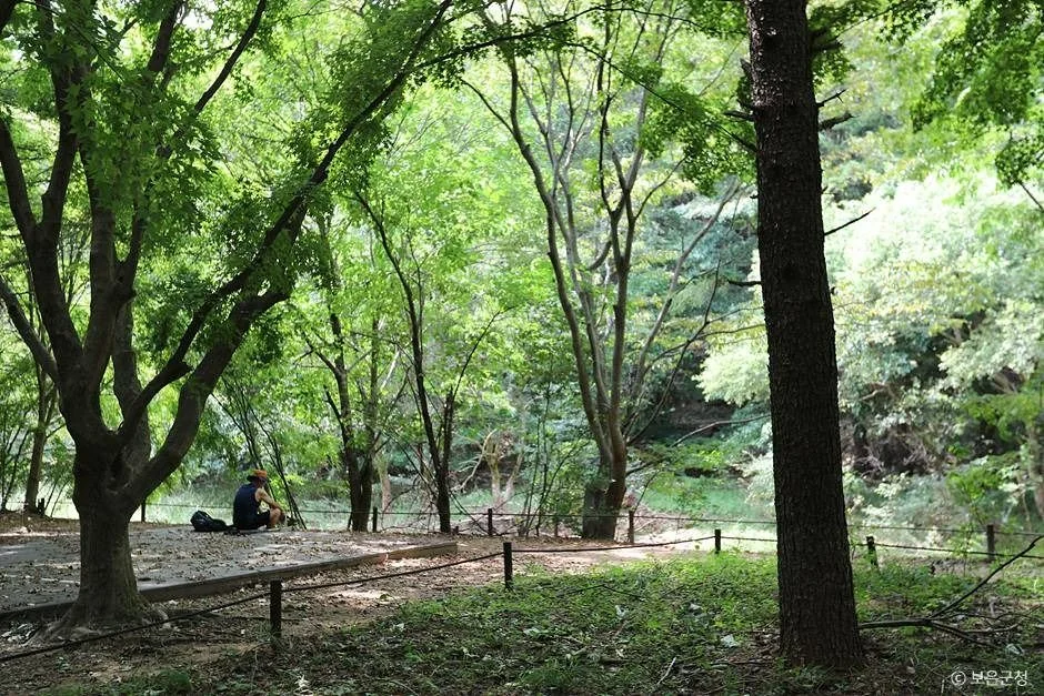 법주사입구 1코스