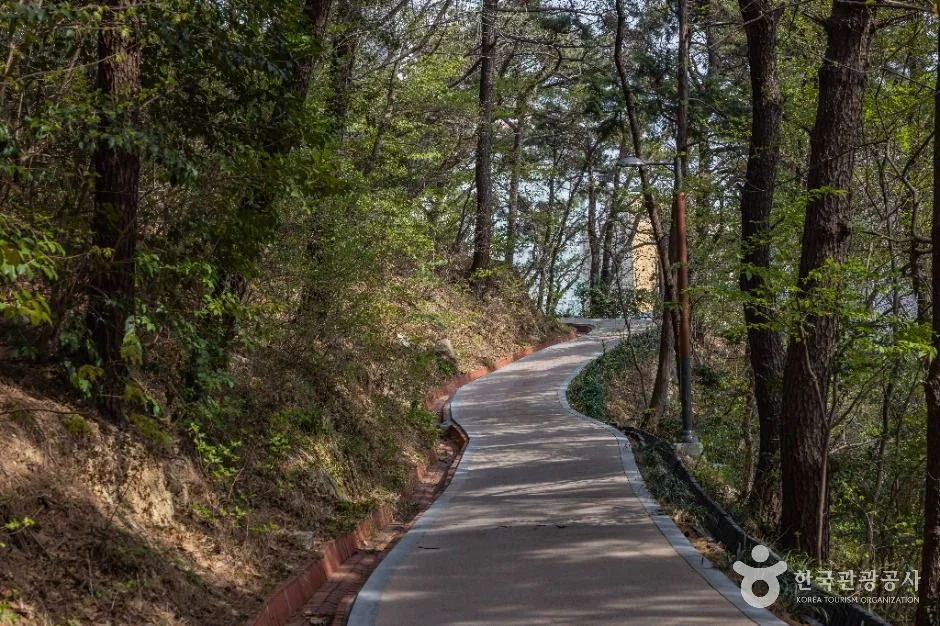 동매산 4코스