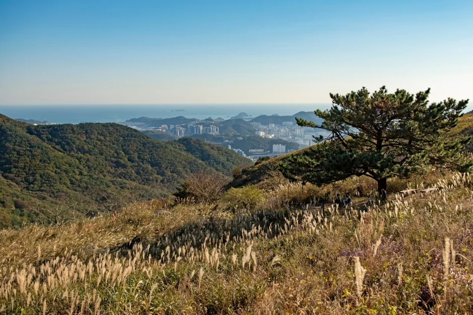묘지봉 3코스