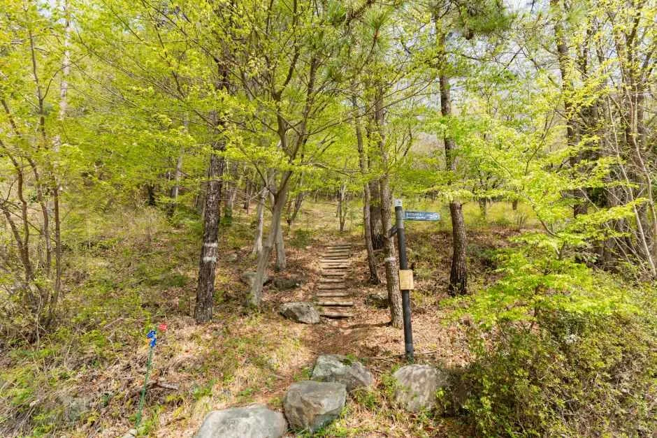 대사산 1코스
