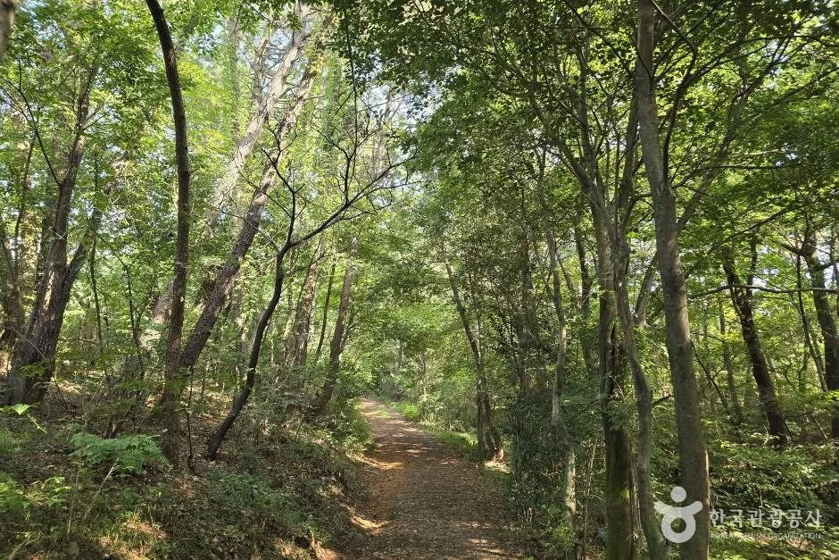 비음산 2코스