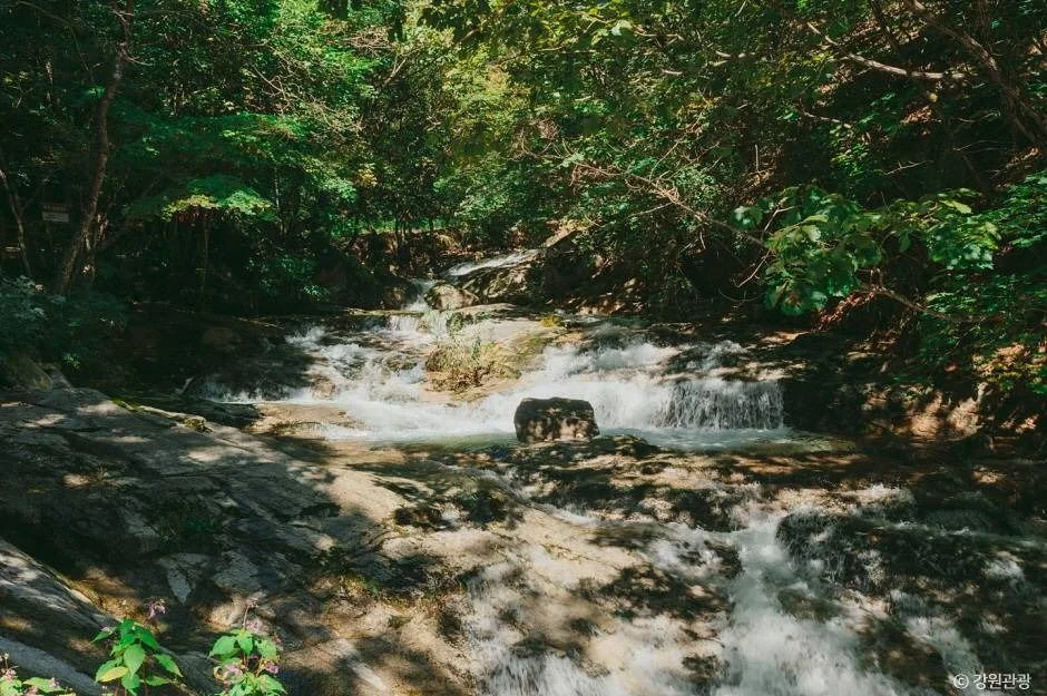 오봉산 2코스