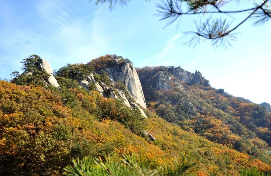 용화산 3코스