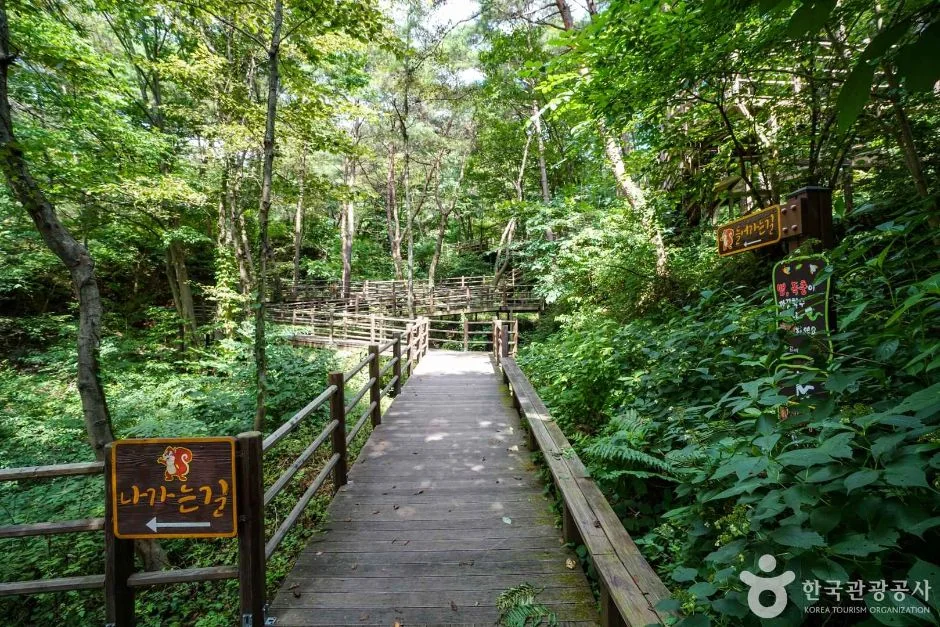 우두산 1코스