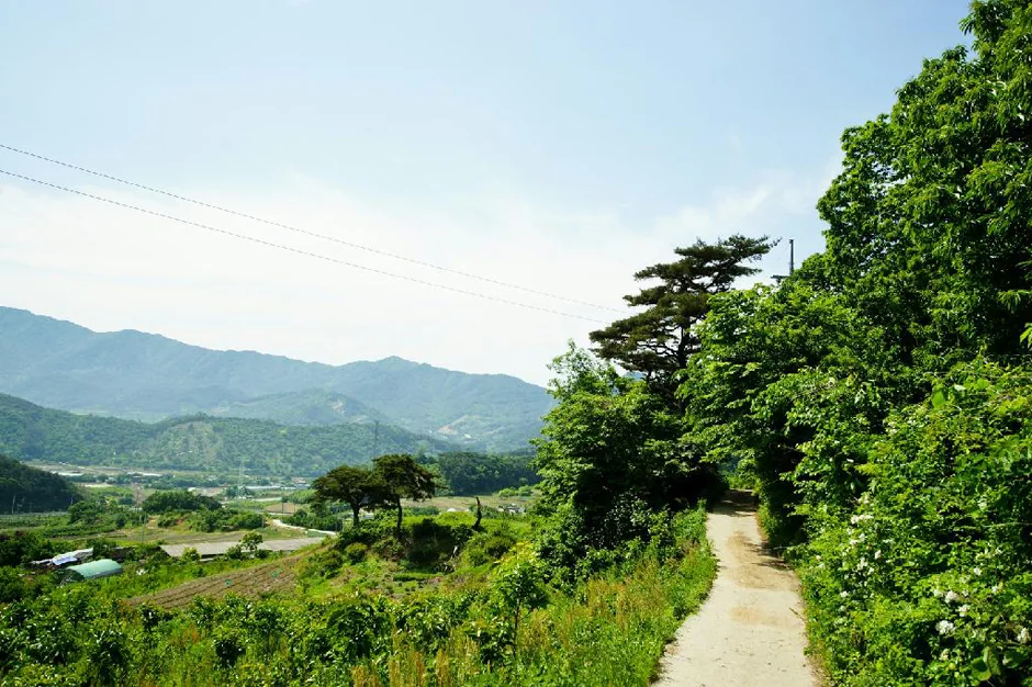 지리산(천왕봉) 8코스
