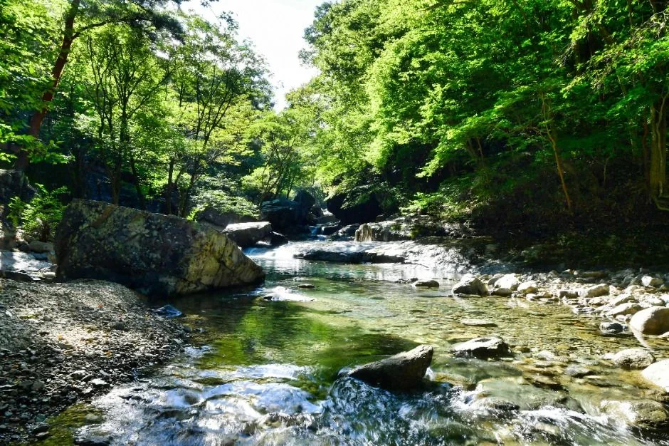 천성산2봉(비로봉) 4코스