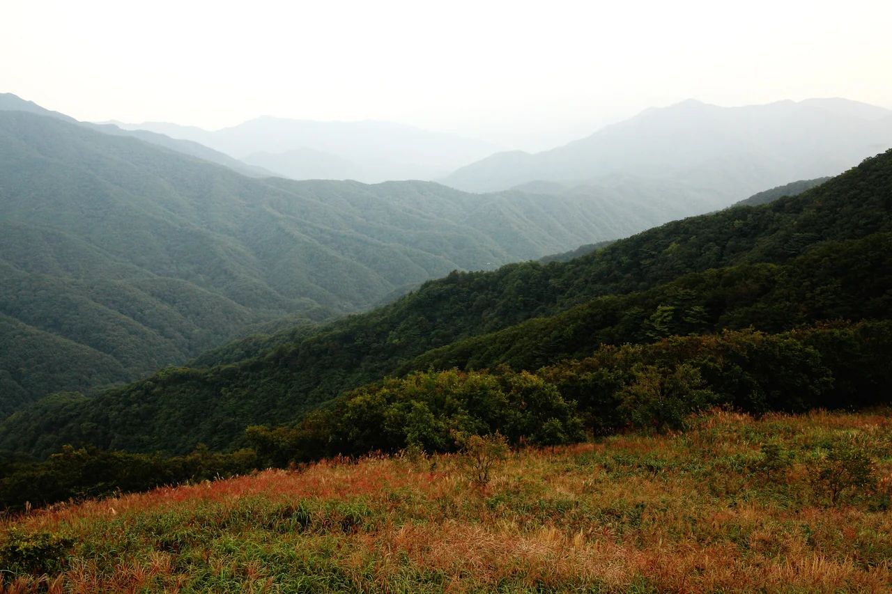 장안산 1코스