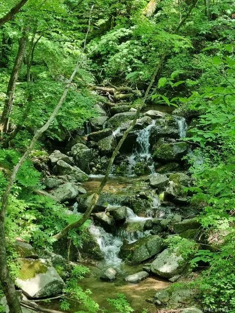 점봉산 1코스