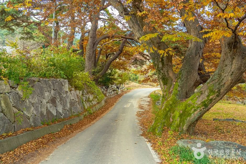 만행산(천황봉) 4코스