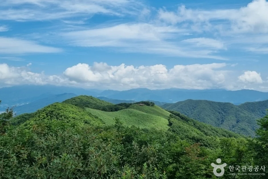 영취산 1코스