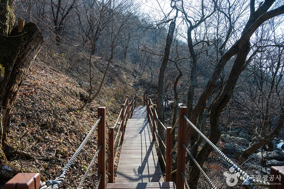 축령산 1코스