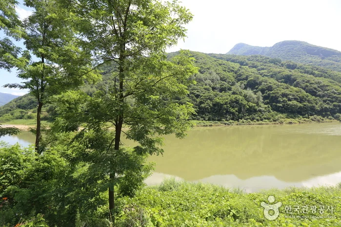 태화산 1코스