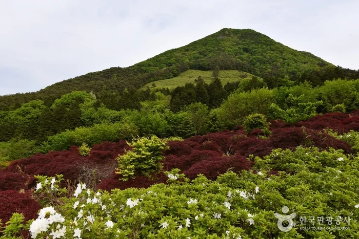 만연산 2코스