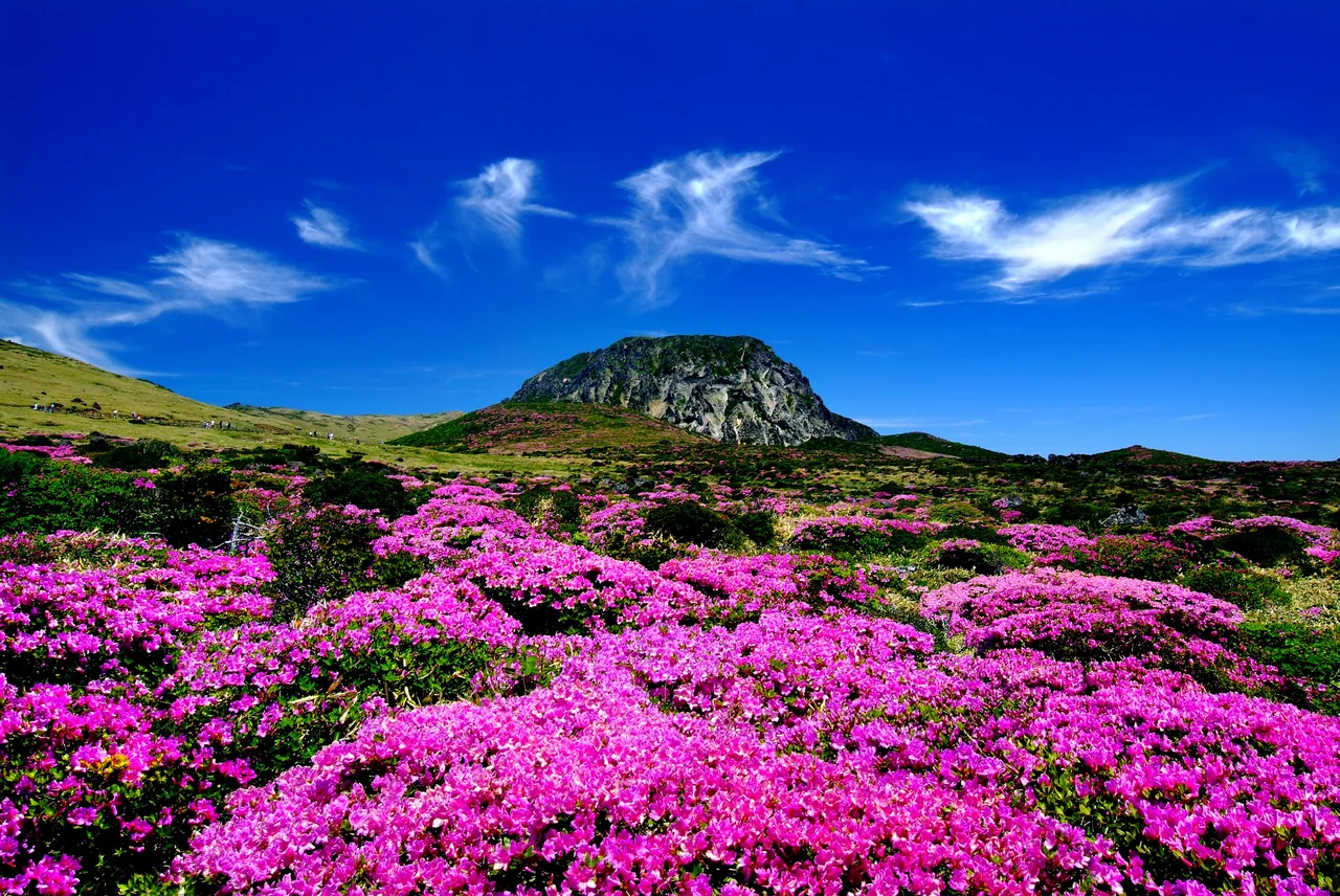 한라산 2코스