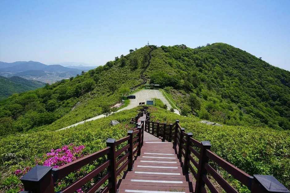 천등산 2코스