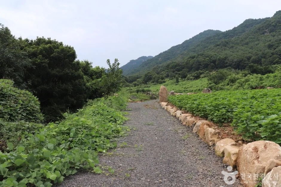 희양산 6코스