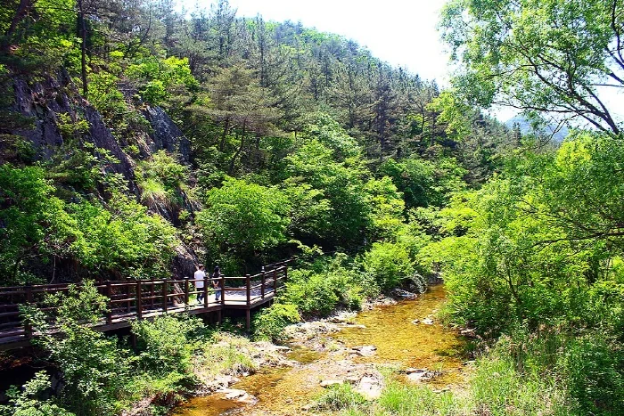 빈계산 3코스