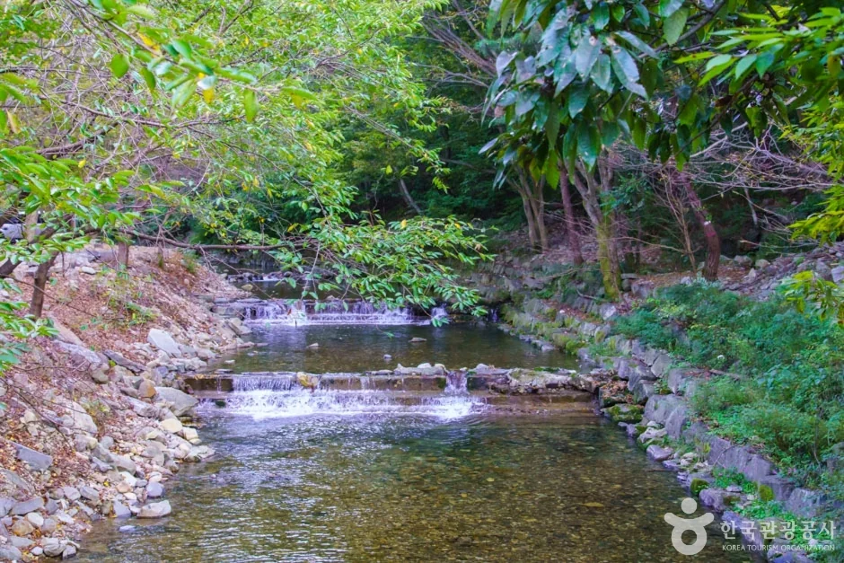 마늘봉 4코스
