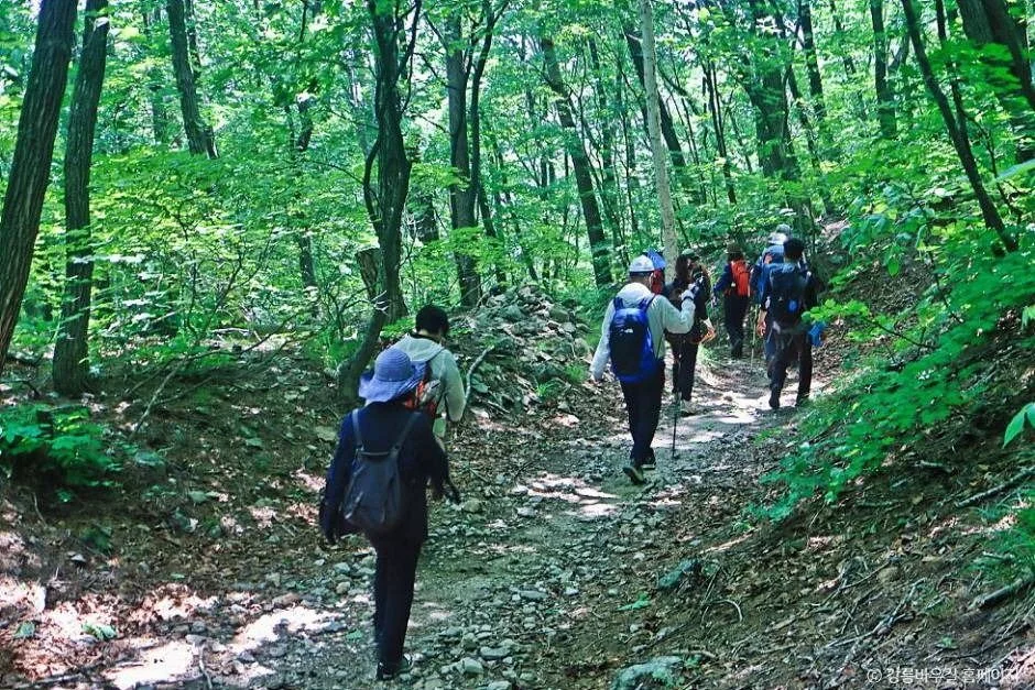 대관령숲길 15코스