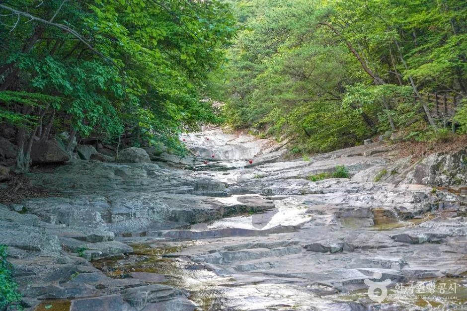 가지산 3코스