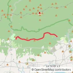 오감만족 한라산둘레길 동백길