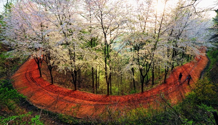 대전 계족산 임도 코스